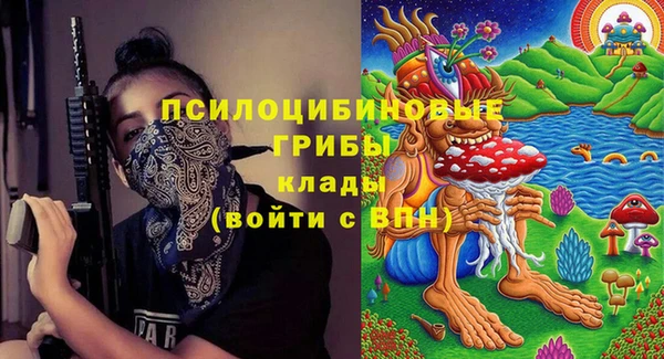 трава Верхнеуральск